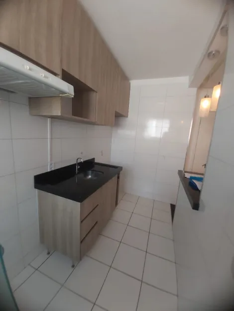 Alugar Apartamento / Padr&atilde;o em S&atilde;o Jos&eacute; do Rio Preto R$ 884,90 - Foto 4