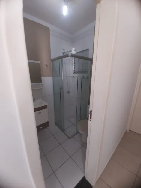 Alugar Apartamento / Padr&atilde;o em S&atilde;o Jos&eacute; do Rio Preto R$ 884,90 - Foto 5