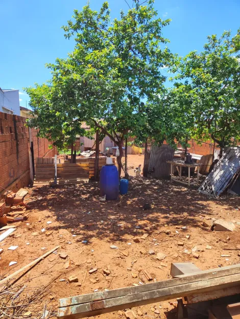 Terreno / Padr&atilde;o em S&atilde;o Jos&eacute; do Rio Preto 