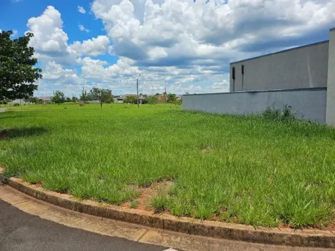 Terreno / Condom&iacute;nio em Ipigu&aacute; , Comprar por R$150.000,00
