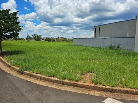 Comprar Terreno / Condom&iacute;nio em Ipigu&aacute; R$ 150.000,00 - Foto 2