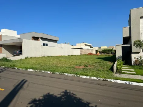 Comprar Terreno / Condom&iacute;nio em S&atilde;o Jos&eacute; do Rio Preto R$ 425.000,00 - Foto 2