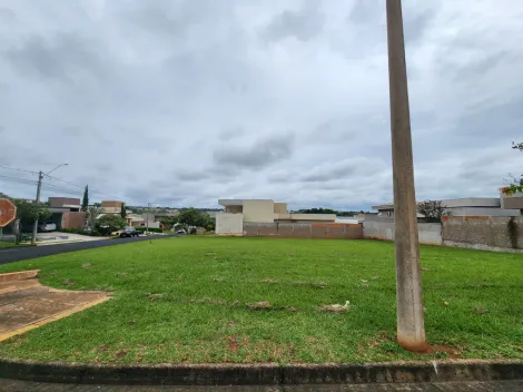 Comprar Terreno / Condom&iacute;nio em S&atilde;o Jos&eacute; do Rio Preto R$ 350.000,00 - Foto 2