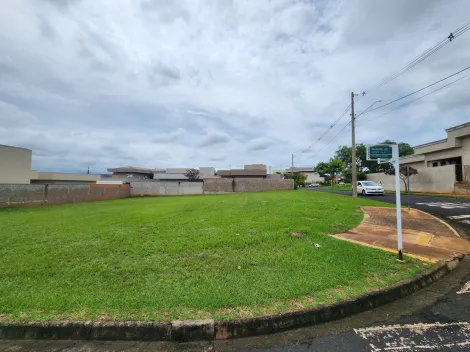 Alugar Terreno / Condom&iacute;nio em S&atilde;o Jos&eacute; do Rio Preto. apenas R$ 350.000,00