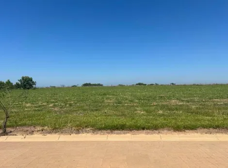 Comprar Terreno / Condom&iacute;nio em Panorama R$ 600.000,00 - Foto 8