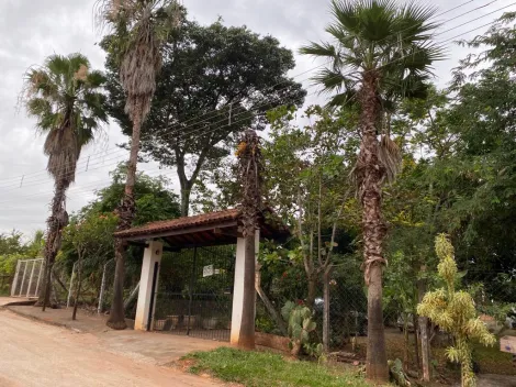 Rural / Ch&aacute;cara em Cedral 