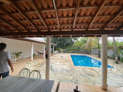 Comprar Rural / Ch&aacute;cara em Cedral R$ 550.000,00 - Foto 7