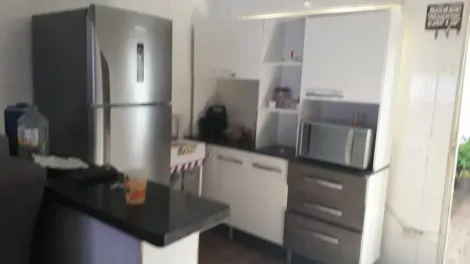 Alugar Casa / Padr&atilde;o em S&atilde;o Jos&eacute; do Rio Preto R$ 1.000,00 - Foto 2