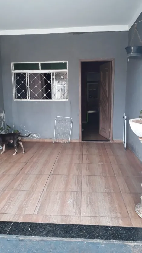 Alugar Casa / Padr&atilde;o em S&atilde;o Jos&eacute; do Rio Preto R$ 1.000,00 - Foto 10