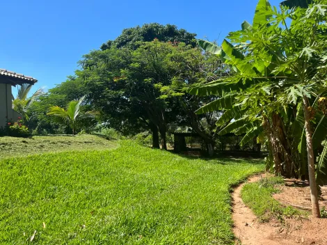 Comprar Rural / S&iacute;tio em Cedral R$ 6.500.000,00 - Foto 6