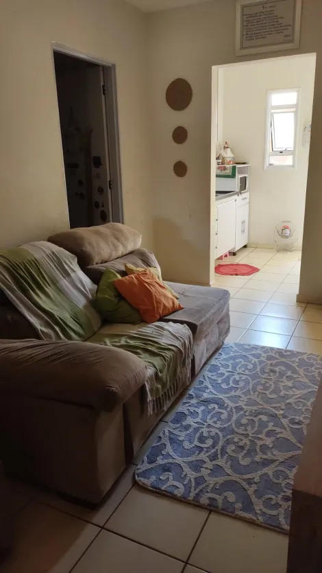 Alugar Casa / Padr&atilde;o em S&atilde;o Jos&eacute; do Rio Preto R$ 1.450,00 - Foto 4
