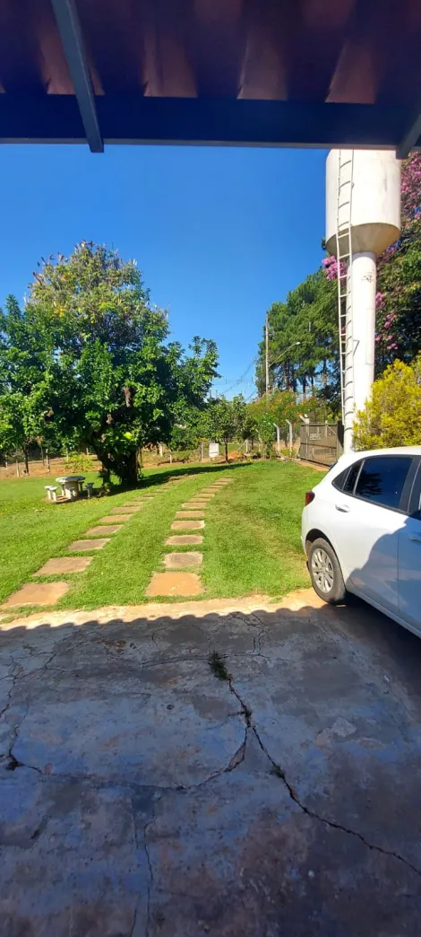 Comprar Rural / Ch&aacute;cara em S&atilde;o Jos&eacute; do Rio Preto R$ 890.000,00 - Foto 18