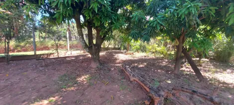 Comprar Rural / Ch&aacute;cara em S&atilde;o Jos&eacute; do Rio Preto R$ 890.000,00 - Foto 30
