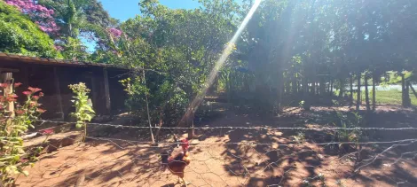 Comprar Rural / Ch&aacute;cara em S&atilde;o Jos&eacute; do Rio Preto R$ 890.000,00 - Foto 28