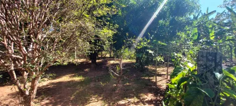 Comprar Rural / Ch&aacute;cara em S&atilde;o Jos&eacute; do Rio Preto R$ 890.000,00 - Foto 31