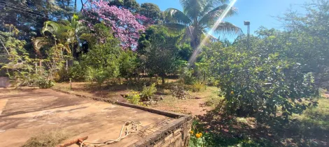Comprar Rural / Ch&aacute;cara em S&atilde;o Jos&eacute; do Rio Preto R$ 890.000,00 - Foto 32