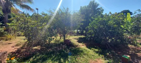 Comprar Rural / Ch&aacute;cara em S&atilde;o Jos&eacute; do Rio Preto R$ 890.000,00 - Foto 33