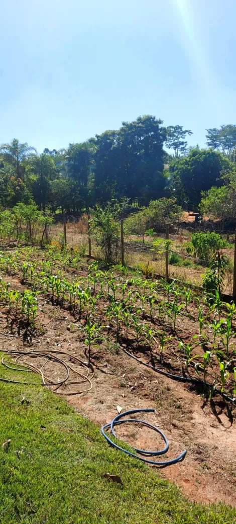 Comprar Rural / Ch&aacute;cara em S&atilde;o Jos&eacute; do Rio Preto R$ 890.000,00 - Foto 38