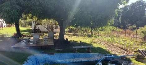 Comprar Rural / Ch&aacute;cara em S&atilde;o Jos&eacute; do Rio Preto R$ 890.000,00 - Foto 29