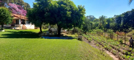 Comprar Rural / Ch&aacute;cara em S&atilde;o Jos&eacute; do Rio Preto R$ 890.000,00 - Foto 24