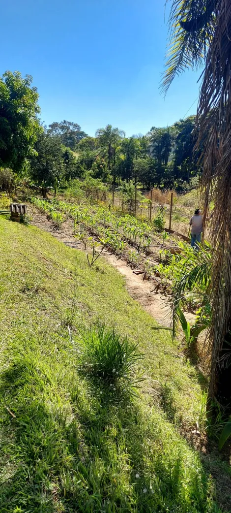 Comprar Rural / Ch&aacute;cara em S&atilde;o Jos&eacute; do Rio Preto R$ 890.000,00 - Foto 39