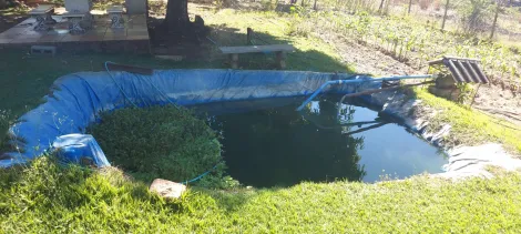 Comprar Rural / Ch&aacute;cara em S&atilde;o Jos&eacute; do Rio Preto R$ 890.000,00 - Foto 37