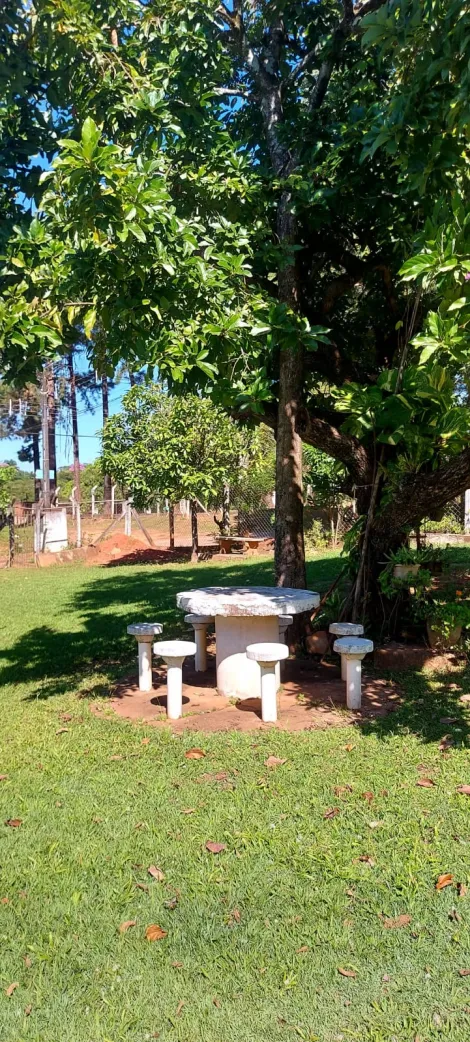 Comprar Rural / Ch&aacute;cara em S&atilde;o Jos&eacute; do Rio Preto R$ 890.000,00 - Foto 36