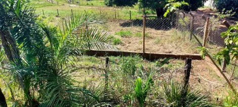 Comprar Rural / Ch&aacute;cara em S&atilde;o Jos&eacute; do Rio Preto R$ 890.000,00 - Foto 35