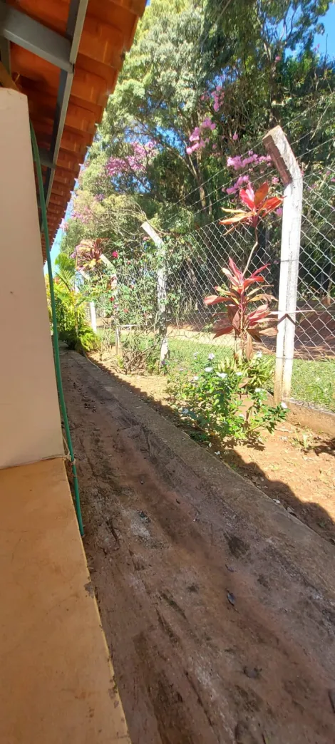 Comprar Rural / Ch&aacute;cara em S&atilde;o Jos&eacute; do Rio Preto R$ 890.000,00 - Foto 34