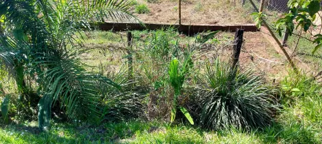 Comprar Rural / Ch&aacute;cara em S&atilde;o Jos&eacute; do Rio Preto R$ 890.000,00 - Foto 42