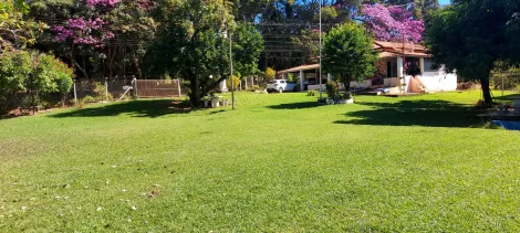 Comprar Rural / Ch&aacute;cara em S&atilde;o Jos&eacute; do Rio Preto R$ 890.000,00 - Foto 43