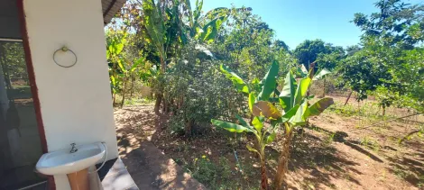 Comprar Rural / Ch&aacute;cara em S&atilde;o Jos&eacute; do Rio Preto R$ 890.000,00 - Foto 44