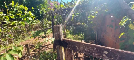 Comprar Rural / Ch&aacute;cara em S&atilde;o Jos&eacute; do Rio Preto R$ 890.000,00 - Foto 46