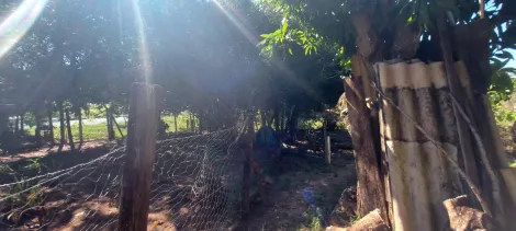 Comprar Rural / Ch&aacute;cara em S&atilde;o Jos&eacute; do Rio Preto R$ 890.000,00 - Foto 47