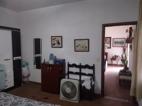 Comprar Rural / Ch&aacute;cara em Cedral R$ 530.000,00 - Foto 4