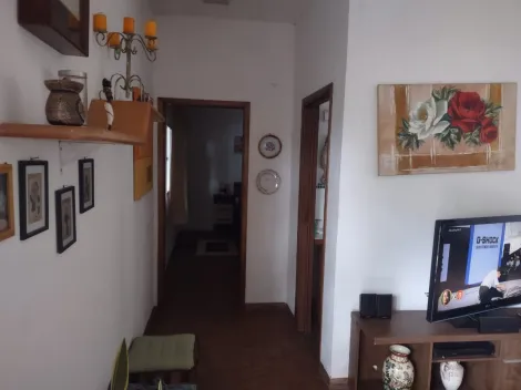 Comprar Rural / Ch&aacute;cara em Cedral R$ 530.000,00 - Foto 5
