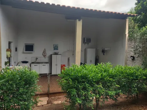 Comprar Rural / Ch&aacute;cara em Cedral R$ 530.000,00 - Foto 10