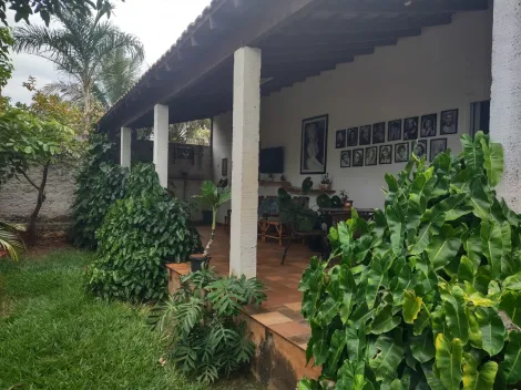 Comprar Rural / Ch&aacute;cara em Cedral R$ 530.000,00 - Foto 13