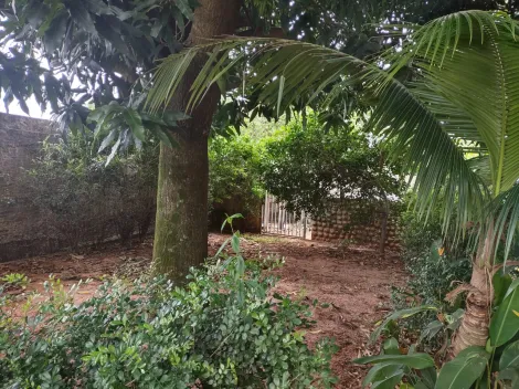 Comprar Rural / Ch&aacute;cara em Cedral R$ 530.000,00 - Foto 15