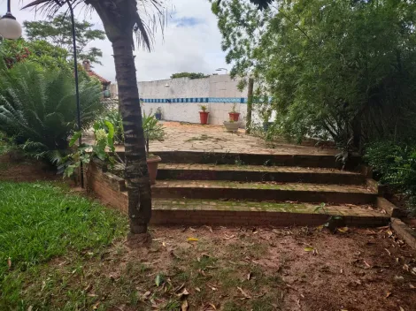 Comprar Rural / Ch&aacute;cara em Cedral R$ 530.000,00 - Foto 17