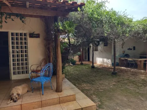 Comprar Rural / Ch&aacute;cara em Cedral R$ 530.000,00 - Foto 57