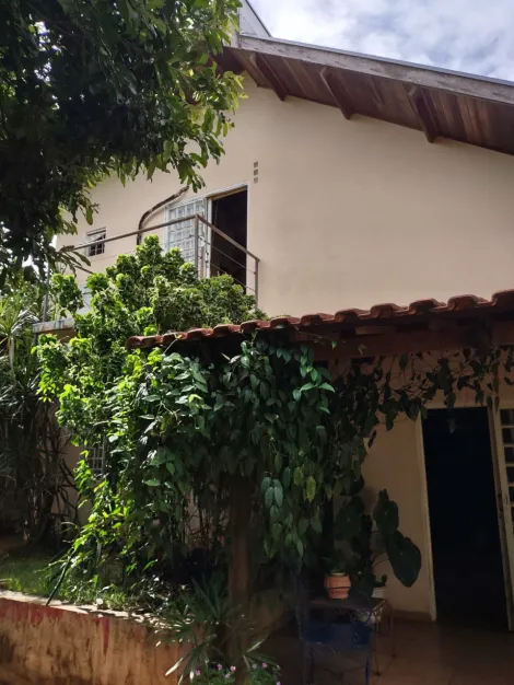 Comprar Rural / Ch&aacute;cara em Cedral R$ 530.000,00 - Foto 59