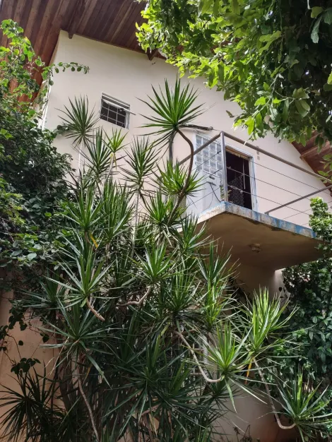 Comprar Rural / Ch&aacute;cara em Cedral R$ 530.000,00 - Foto 61