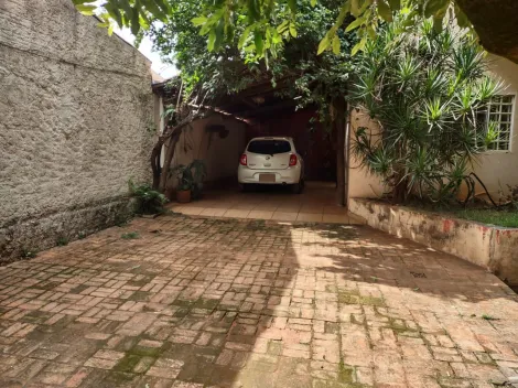 Comprar Rural / Ch&aacute;cara em Cedral R$ 530.000,00 - Foto 63