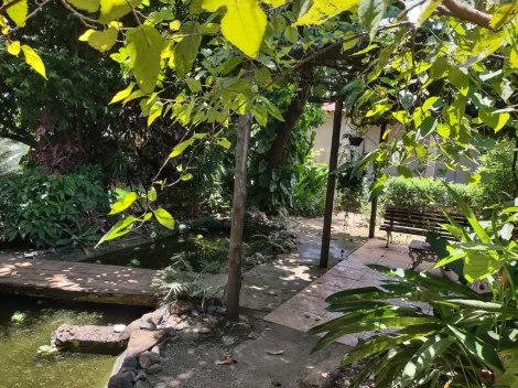 Comprar Rural / Ch&aacute;cara em Cedral R$ 530.000,00 - Foto 73