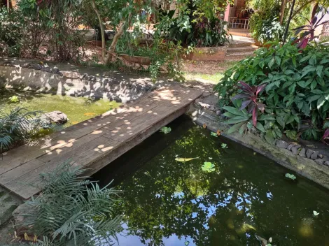 Comprar Rural / Ch&aacute;cara em Cedral R$ 530.000,00 - Foto 74