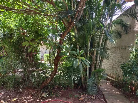 Comprar Rural / Ch&aacute;cara em Cedral R$ 530.000,00 - Foto 75