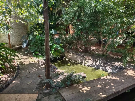 Comprar Rural / Ch&aacute;cara em Cedral R$ 530.000,00 - Foto 76