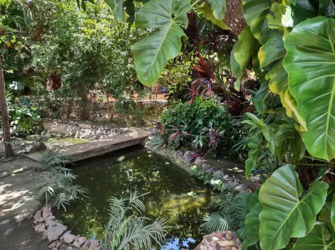 Comprar Rural / Ch&aacute;cara em Cedral R$ 530.000,00 - Foto 77