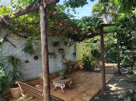 Comprar Rural / Ch&aacute;cara em Cedral R$ 530.000,00 - Foto 80